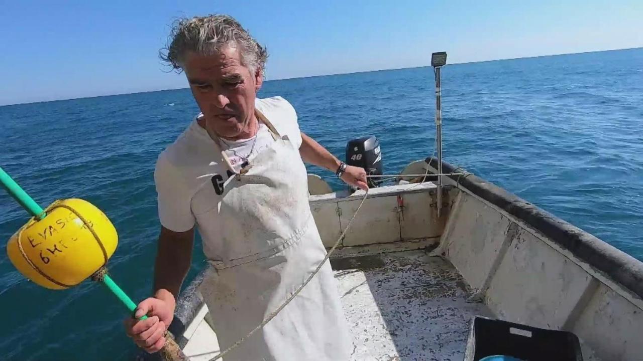 Dimore Di Portadibasso Peschici Exteriör bild